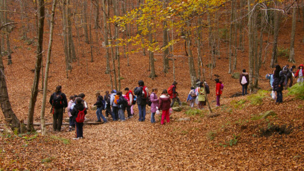 nens a la fageda