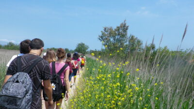 nens caminant per un prat amb flors